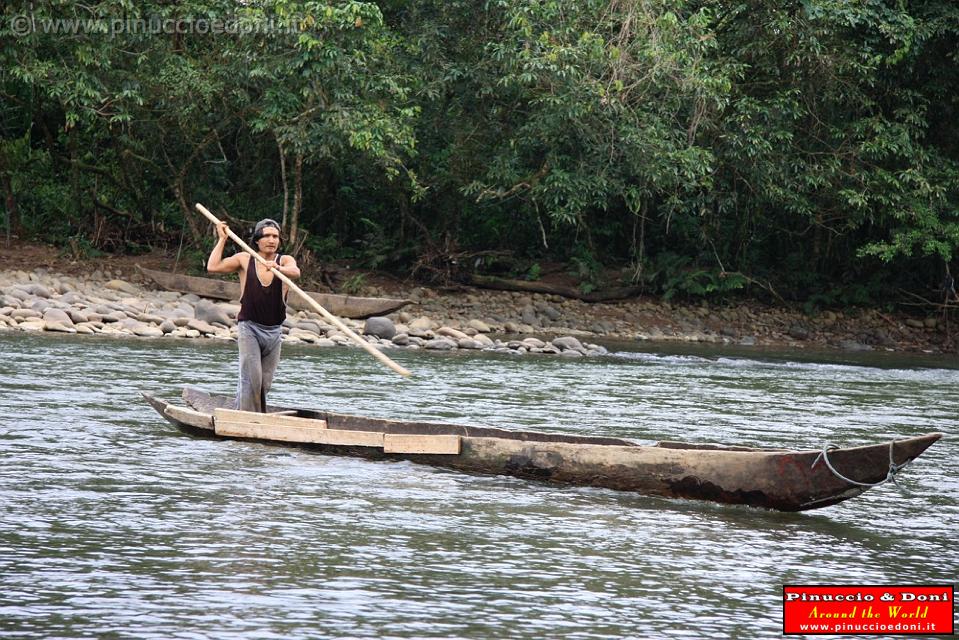 ECUADOR - Foresta Amazzonica - 30.jpg